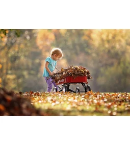 Őszi kerti munkák – Milyen eszközökre van most igazán szükség?