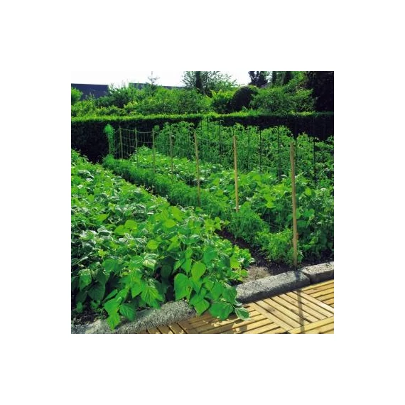 Növénytartó háló 1.2x1000m 100x100 natúr